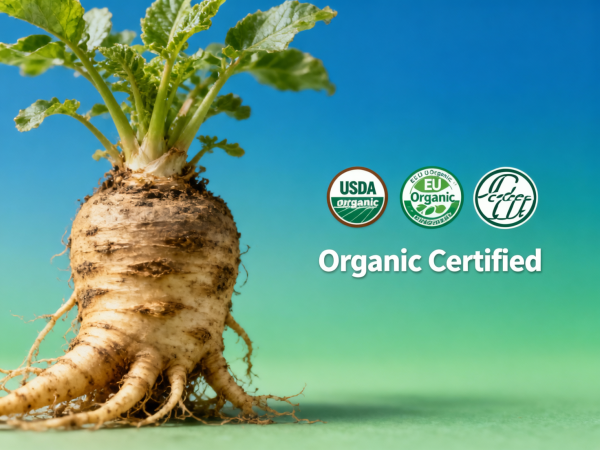 Maca Root Extract Bulk: Why Organic Certification Matters?