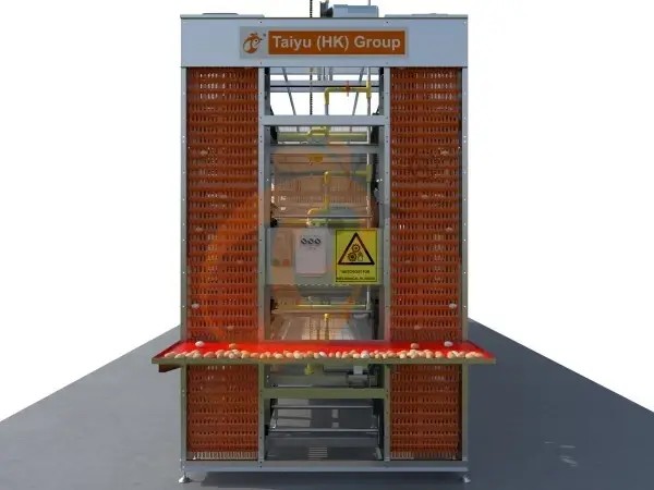 30,000 Layers H Type Automatic Battery Cage 2