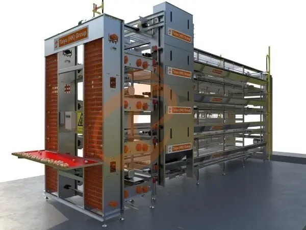 30,000 Layers H Type Automatic Battery Cage