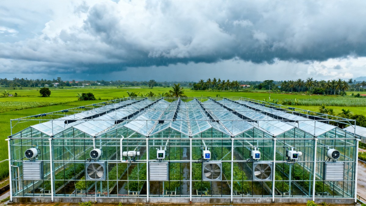 Vietnam Enforces Local Climate Data Validation for Smart Greenhouses Vietnam Enforces Local Climate Data Validation for Smart Greenhouses
