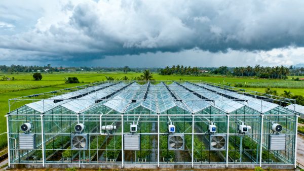 Vietnam Enforces Local Climate Data Validation for Smart Greenhouses Vietnam Enforces Local Climate Data Validation for Smart Greenhouses