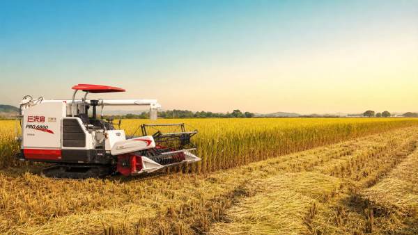 Mini rice harvester machine or manual harvest: where the payoff starts Mini rice harvester machine or manual harvest: where the payoff starts