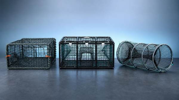 How to compare commercial fishing traps by target catch