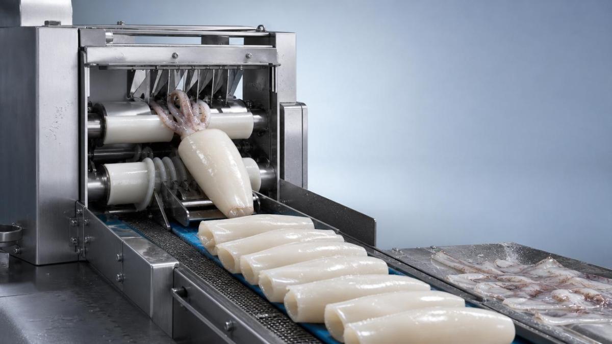 What affects yield loss on a squid peeling machine? What affects yield loss on a squid peeling machine?