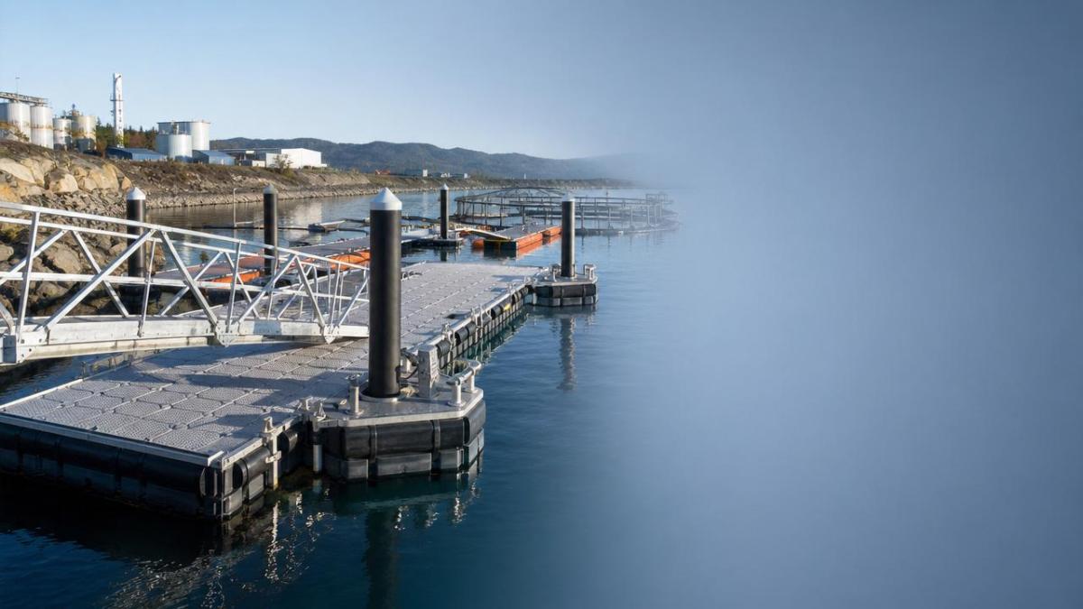 Floating pontoon docks need more planning than most expect