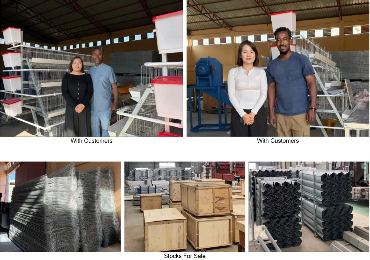Poultry Farm Equipment Poultry Farm Equipment