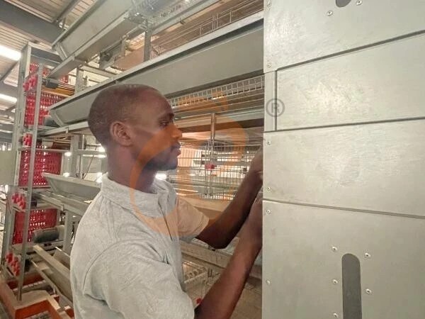 Ethiopia Branch Offer Poultry Farm Business Plan, Manufacture Poultry Farm Equipment1 Ethiopia Branch Offer Poultry Farm Business Plan, Manufacture Poultry Farm Equipment1
