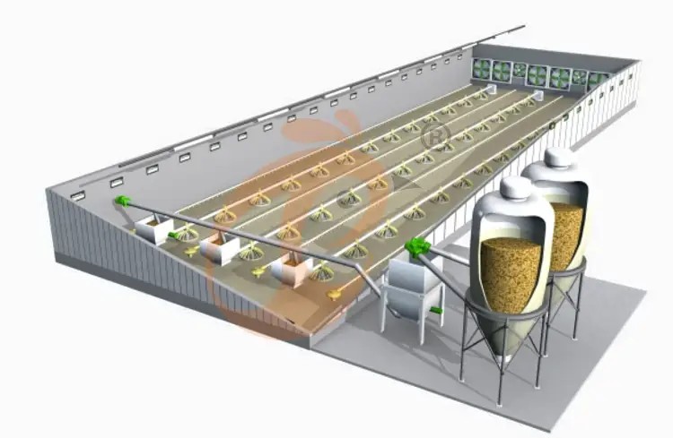 Broiler Deep Litter System3 Broiler Deep Litter System3