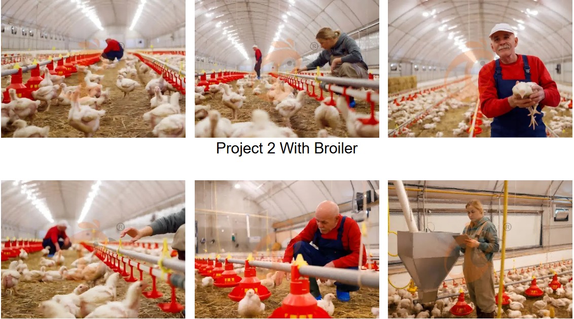 Project 2 With Broiler Project 2 With Broiler