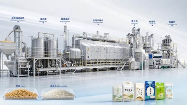 Parboiled Rice Mill Plant Process Explained: Main Machines, Flow, and Output Planning