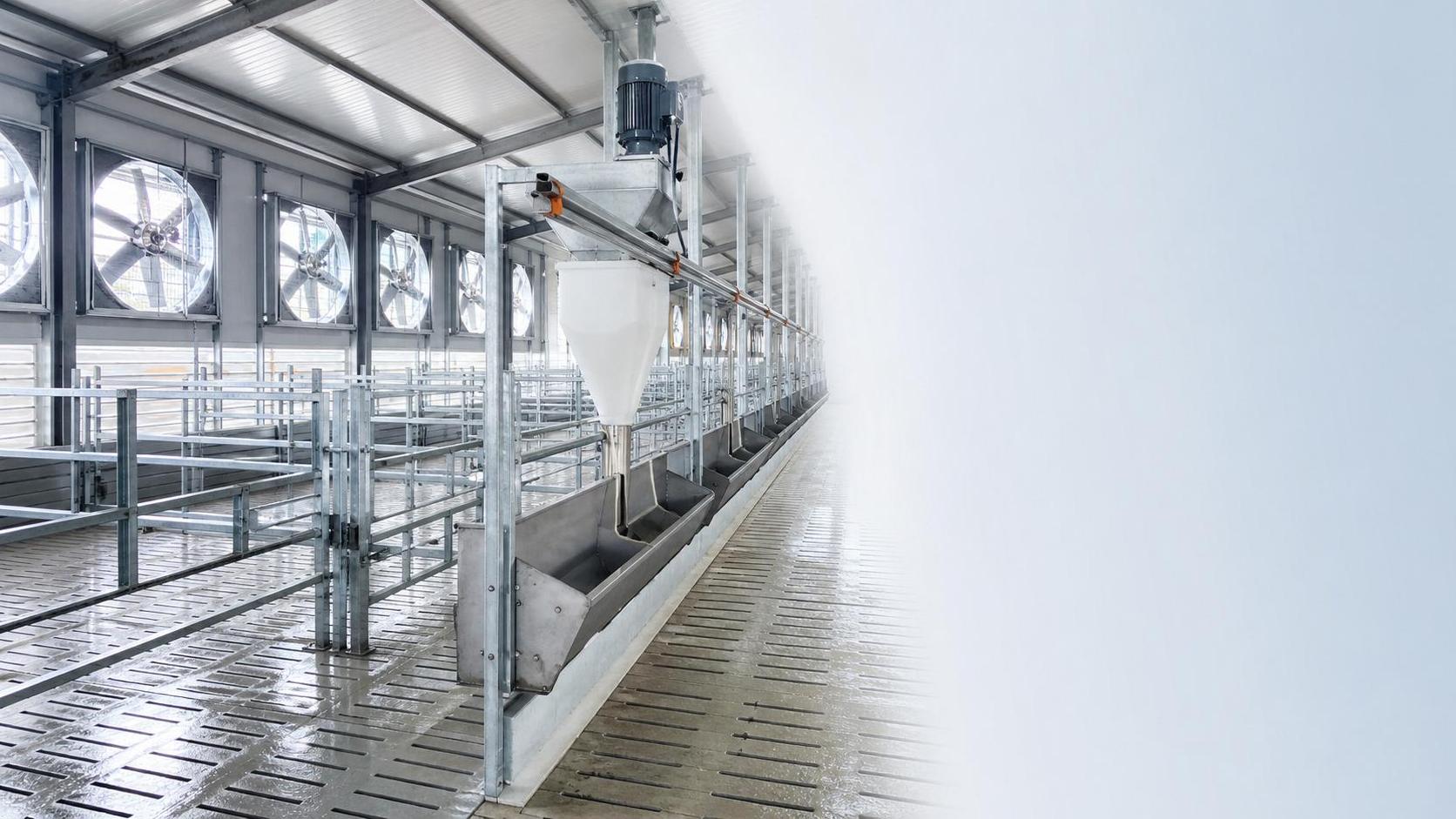 Livestock Housing Equipment Selection: Ventilation, Flooring, and Feeding System Basics