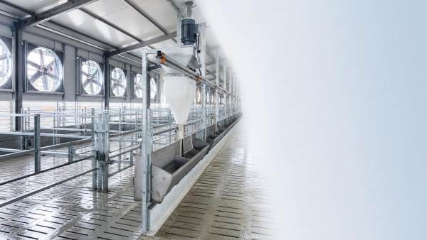 Livestock Housing Equipment Selection: Ventilation, Flooring, and Feeding System Basics Livestock Housing Equipment Selection: Ventilation, Flooring, and Feeding System Basics