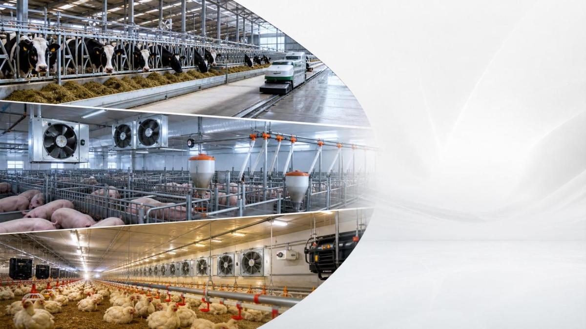 How to Compare Livestock Equipment in North America by Facility Type and Operating Needs How to Compare Livestock Equipment in North America by Facility Type and Operating Needs