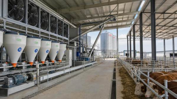 How to Evaluate Large Scale Livestock Equipment for Farm Expansion Projects