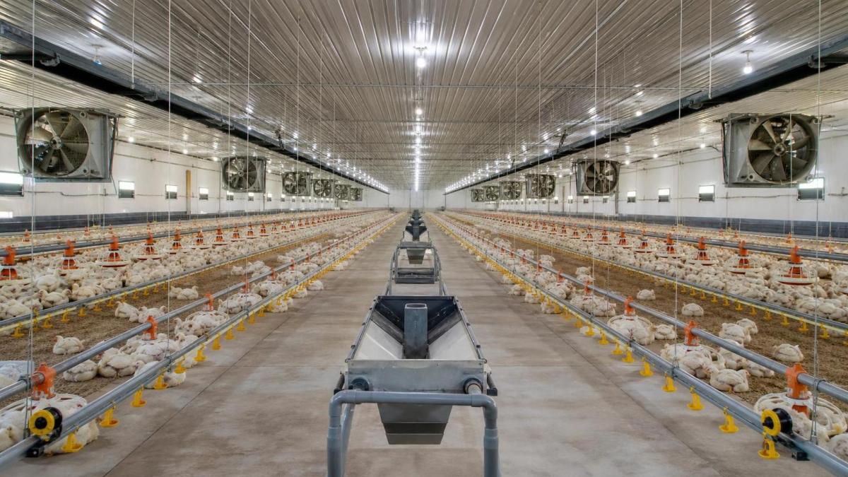 2026 Poultry Farm Equipment Cost Trends and Practical Buying Priorities 2026 Poultry Farm Equipment Cost Trends and Practical Buying Priorities