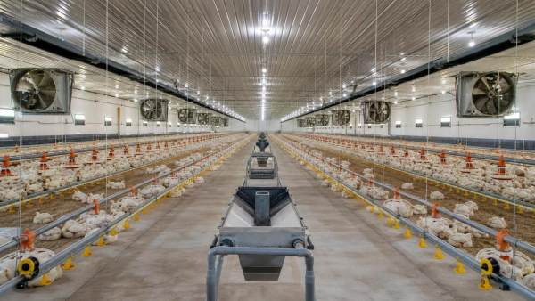 2026 Poultry Farm Equipment Cost Trends and Practical Buying Priorities 2026 Poultry Farm Equipment Cost Trends and Practical Buying Priorities
