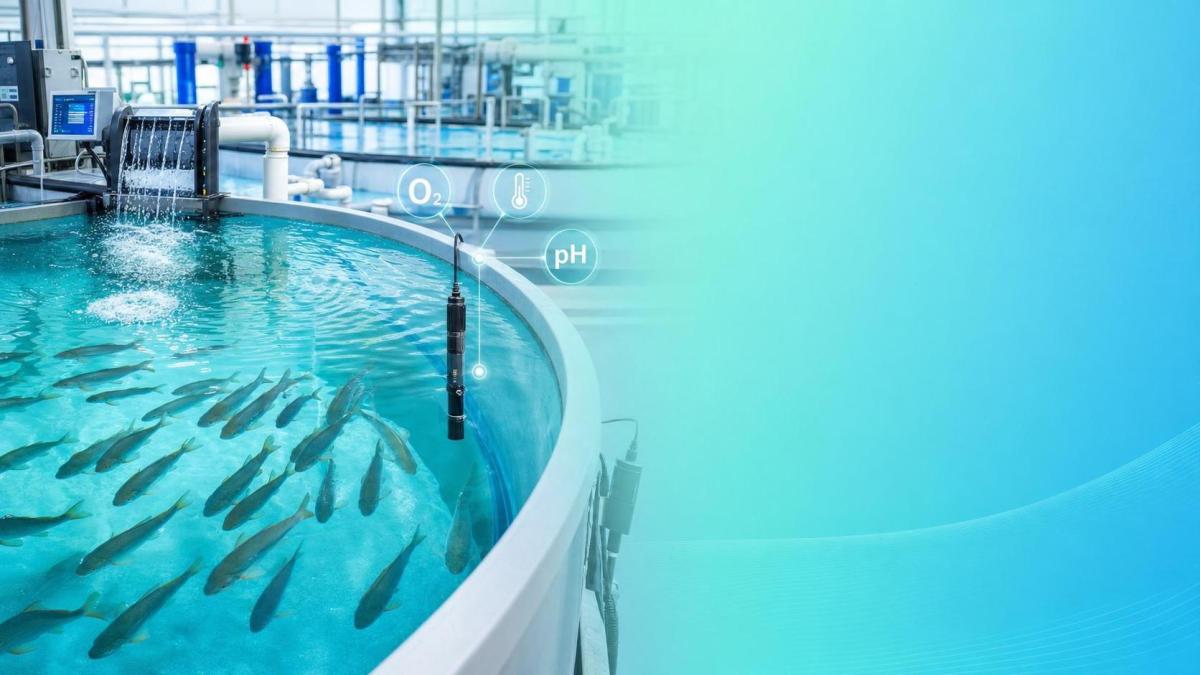 Water Quality Control in Aquaculture: Key Parameters, Monitoring Methods, and System Choices Water Quality Control in Aquaculture: Key Parameters, Monitoring Methods, and System Choices