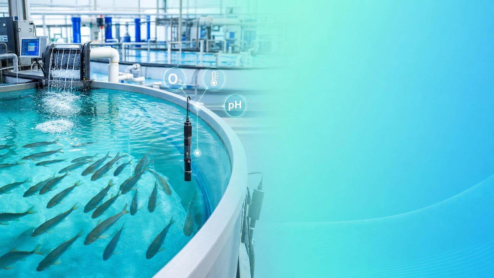 Water Quality Control in Aquaculture: Key Parameters, Monitoring Methods, and System Choices