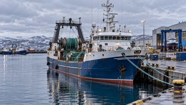Russia Plans 15% Cut to 2027 Fisheries Development Budget Russia Plans 15% Cut to 2027 Fisheries Development Budget