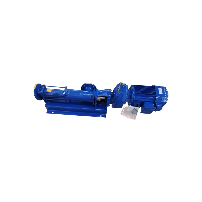 Electric Chemical Transfer Glue Industry Slurry Open Hopper Screw Pump Dosing Pump for Glue Paint