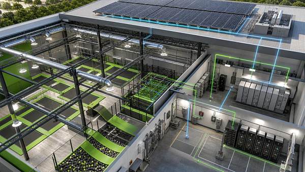 Before trampoline park construction, check these risks