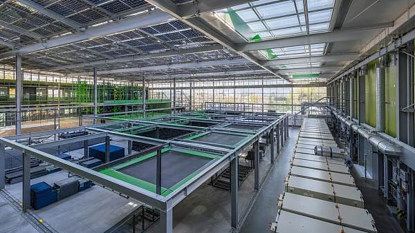 What delays trampoline park installation most often