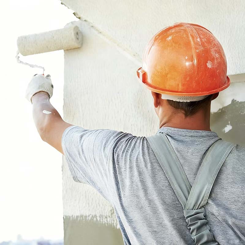 Exterior Wall Paint