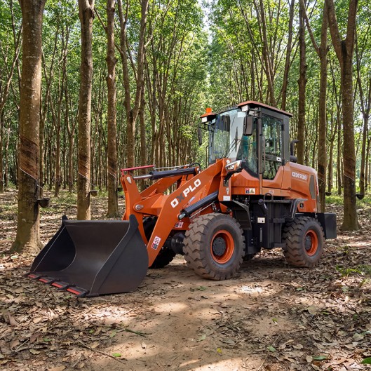 Rubber plantation