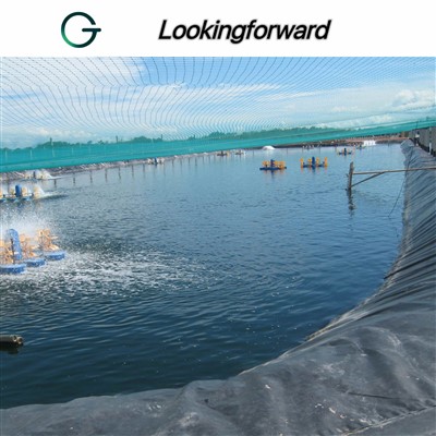 hdpe-geomembrane01e29
