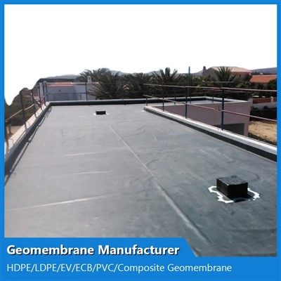 Pvc Geomembrane
