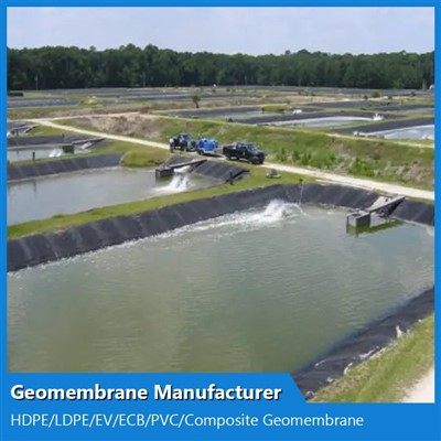 Pvc Geomembrane