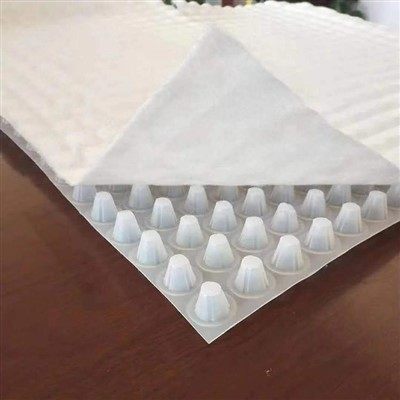 Composite Drainage Board