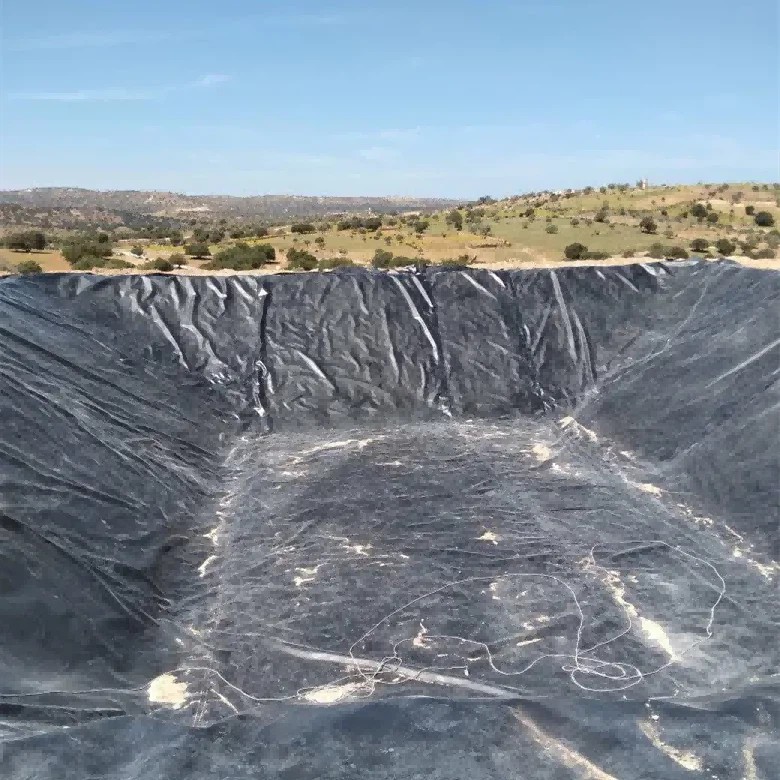 2025111620273428132 pvc geomembrana