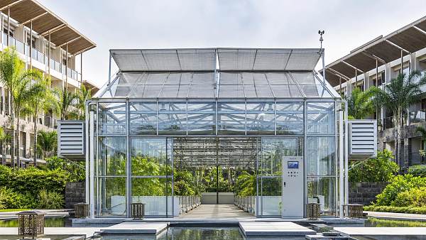 Greenhouse technology choices that matter more than yield claims