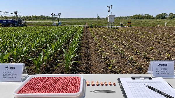 Seed Technology Claims Sound Similar Until Field Results Diverge
