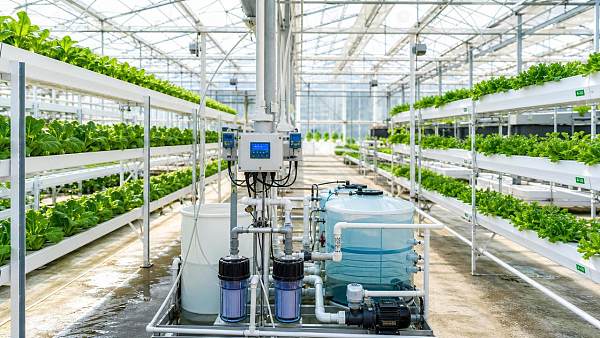 Hydroponics Expansion Gets Risky When Water Control Is Weak