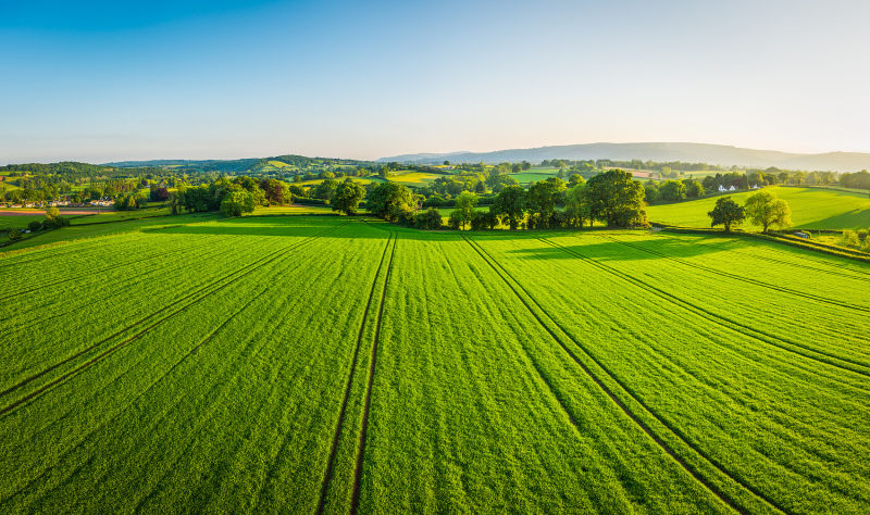 Some Information on Organic Farming Some Information on Organic Farming