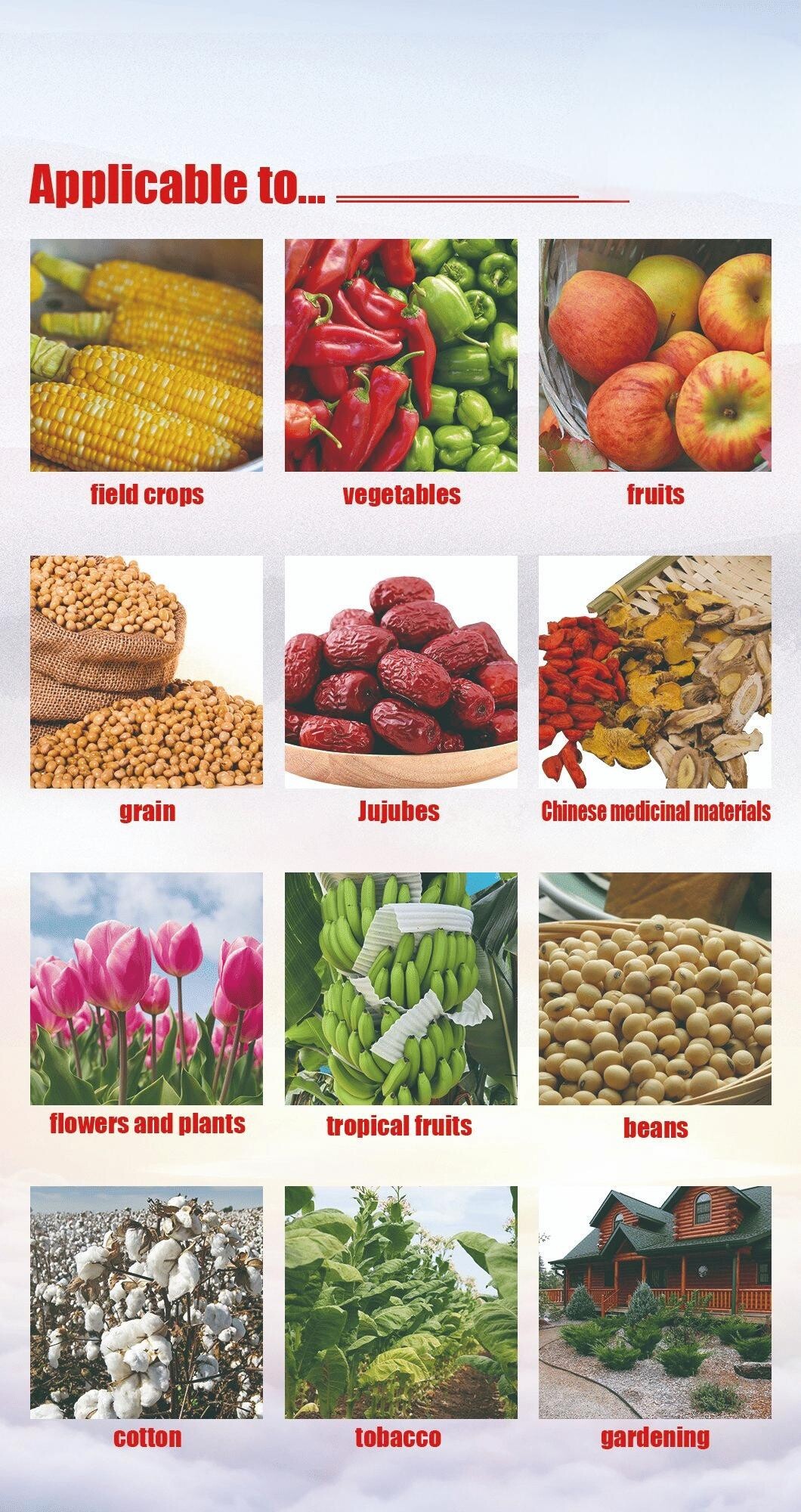 Organic Fertilizer