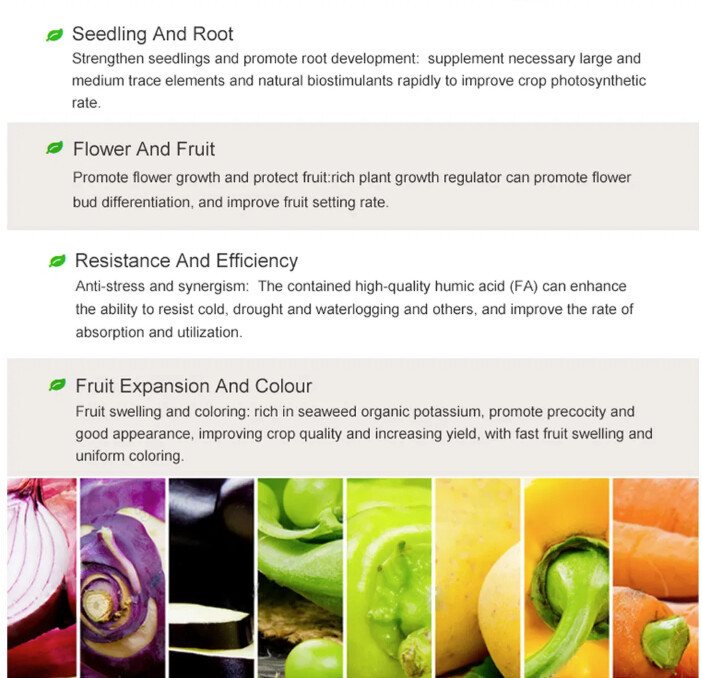 Amino acid water soluble fertilizer
