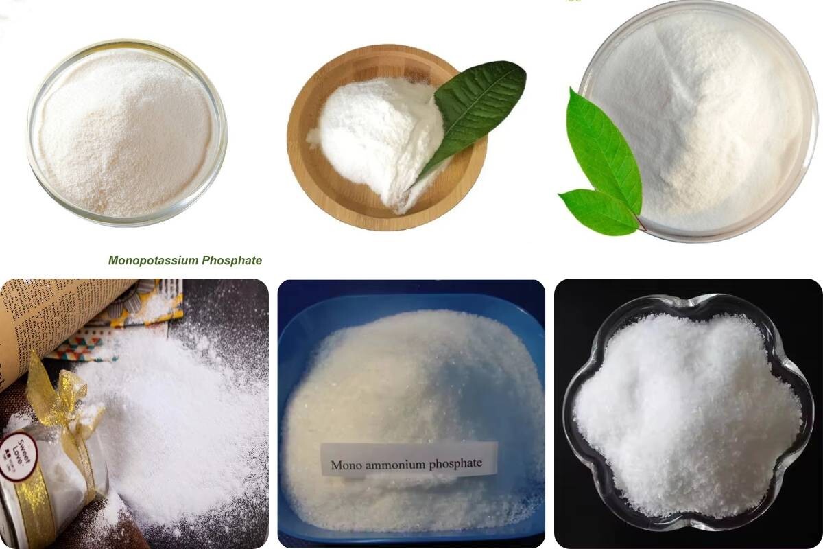下载 (13).jpg Monoammoniun Phosphate(MAP)