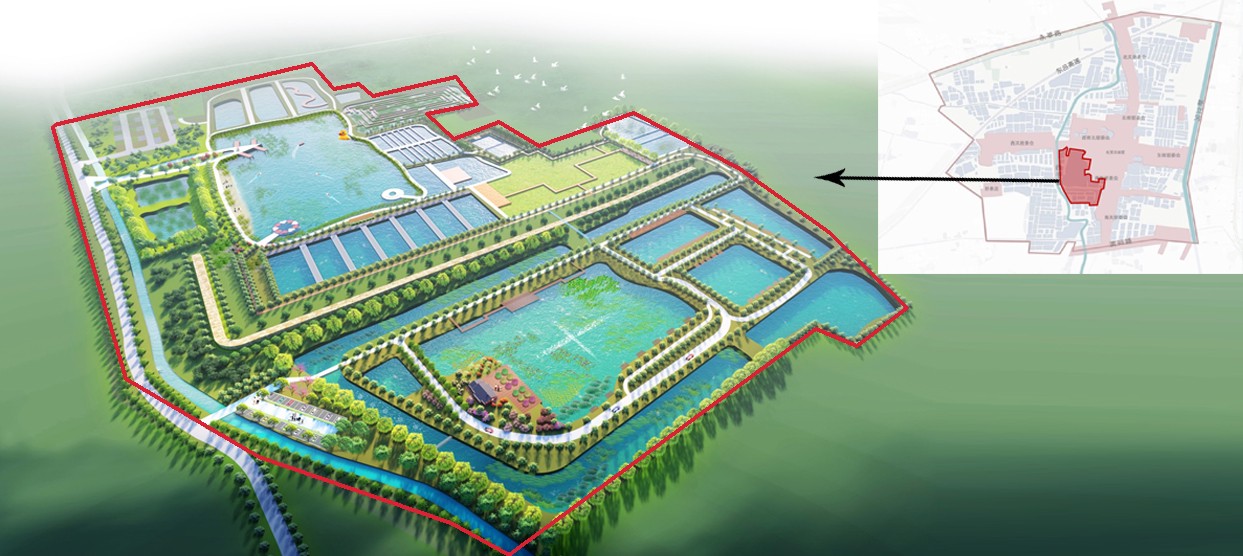 System Classifications and Capacity Scaling in W1 Type (Low Negative Pressure) Chlorine Dioxide Preparation Technology