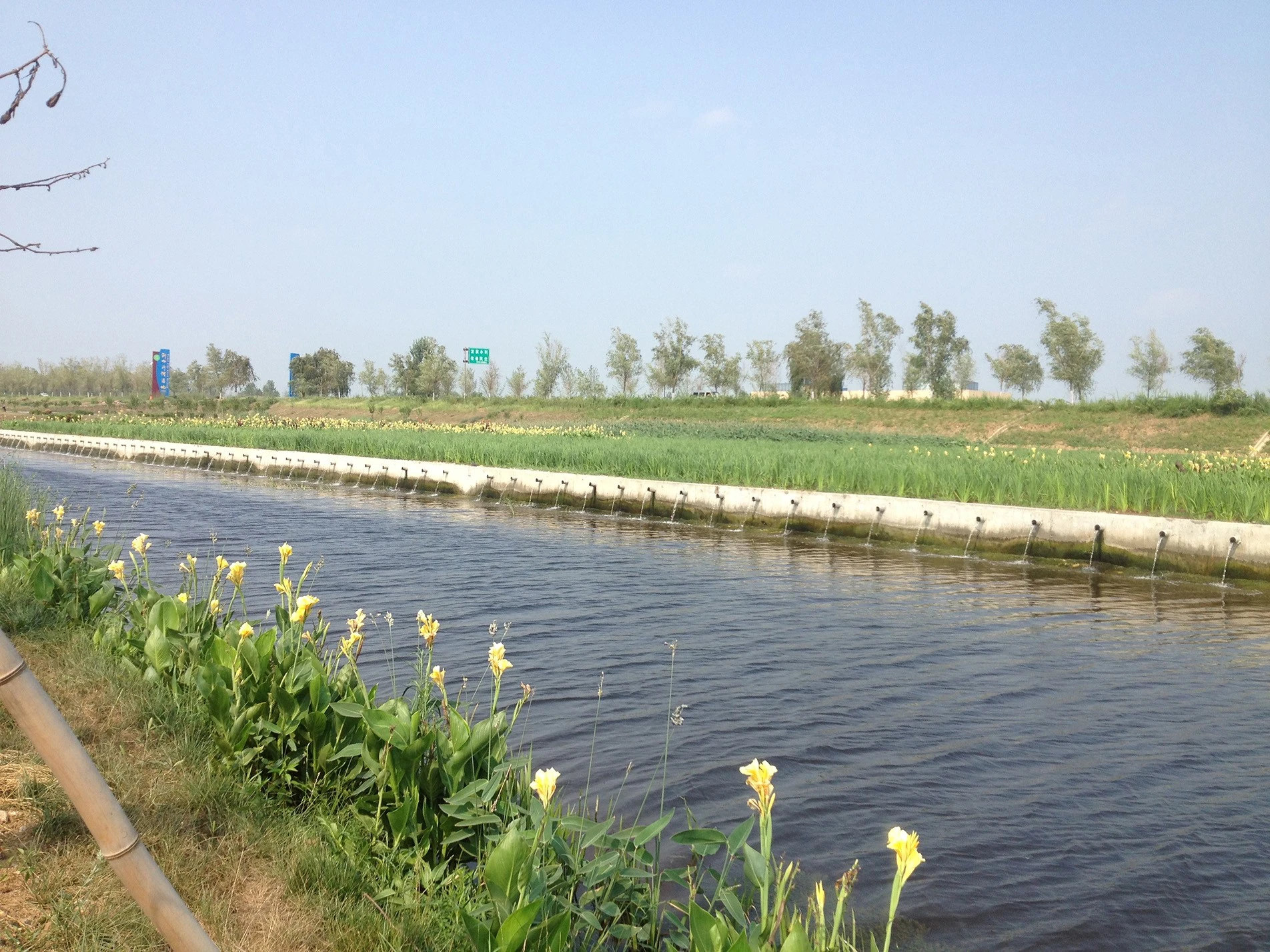 Deep Purification of Tail Water in Binzhou Wastewater Treatment Plant by Artificial Wetland Deep Purification of Tail Water in Binzhou Wastewater Treatment Plant by Artificial Wetland