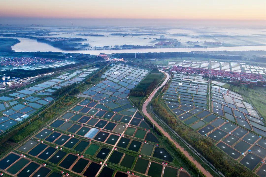 Tail water treatment for freshwater pond aquaculture