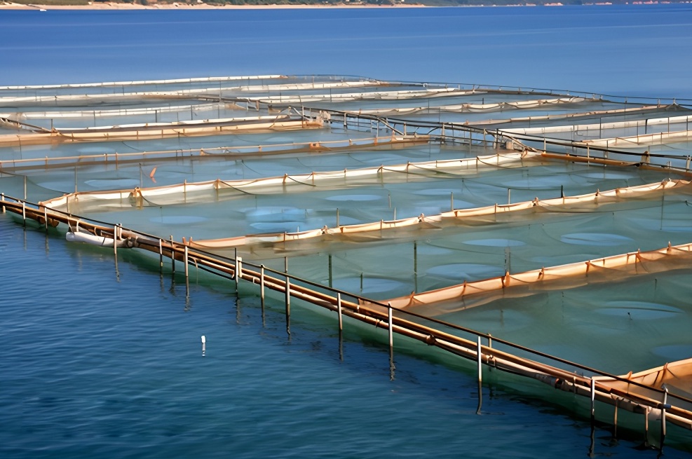 Ecological Management of Fishery Tail Water in Modern Marine Aquaculture