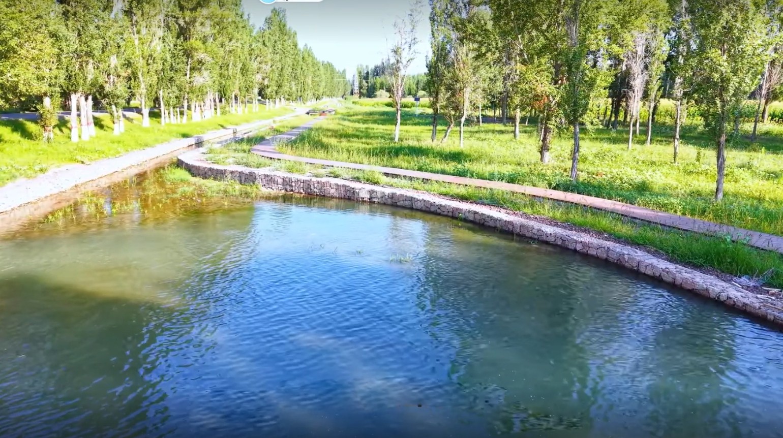 Ecological treatment of fishery aquaculture effluent in 