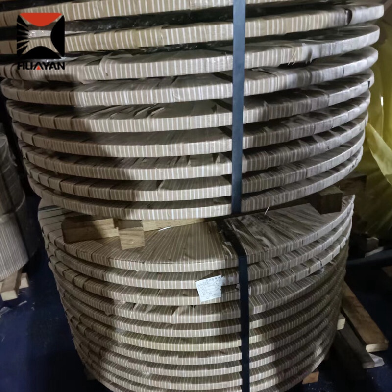 304 Stainless Strip
