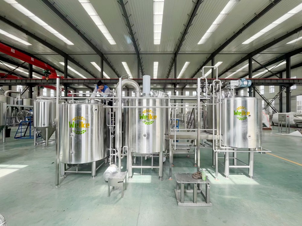 Équipement de brassage de bière micro 500L