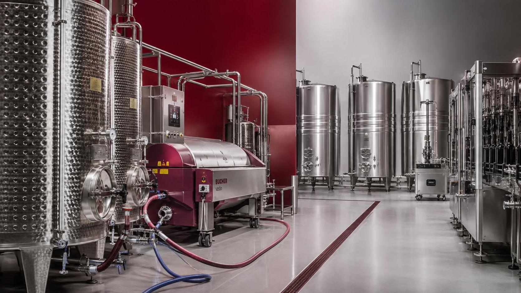 De que equipamento preciso para iniciar uma pequena vinícola?