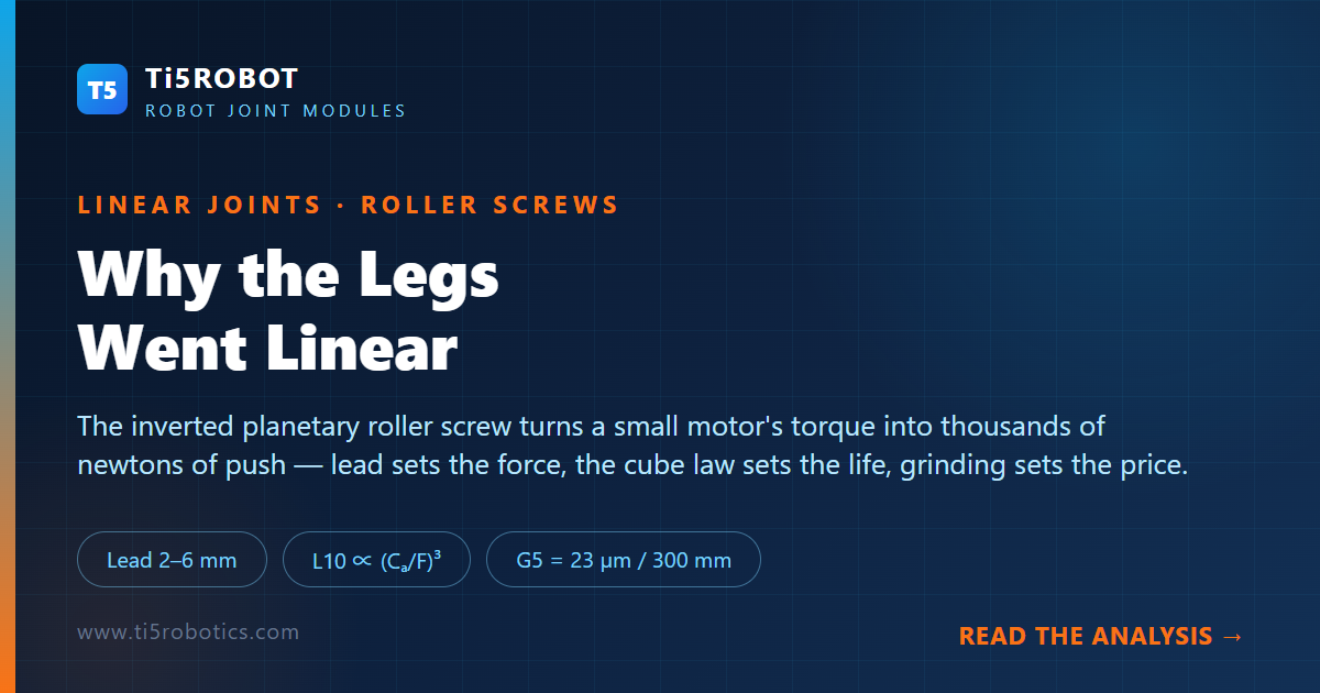 Pourquoi les jambes sont-elles devenues linéaires ? Au cœur de la vis à rouleaux planétaires qui propulse un humanoïde