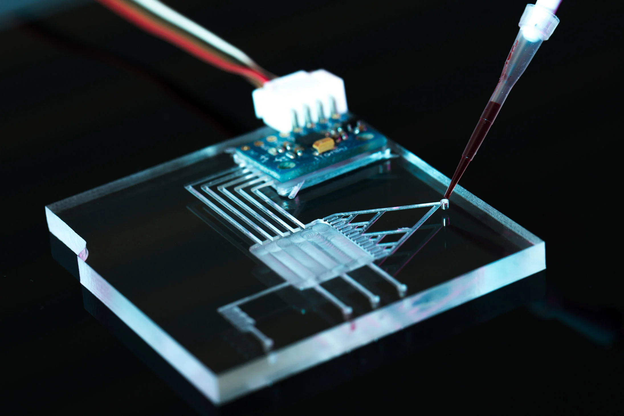 chip laboratory